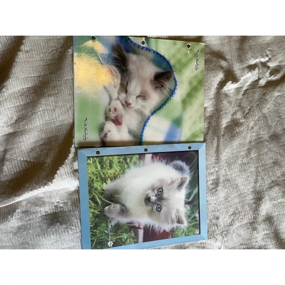 Vintage Y2K Class Act Keith Kimberlin School Binder & 6 Kitten Folders Retro